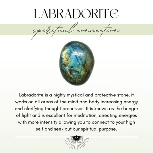 Titanium Dew Drop Earrings - Labradorite