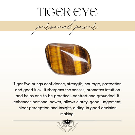 Titanium Dew Drop Earrings - Tiger's Eye