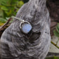 Moonstone and Sterling Silver Necklace