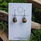 Titanium Dew Drop Earrings - Tiger's Eye