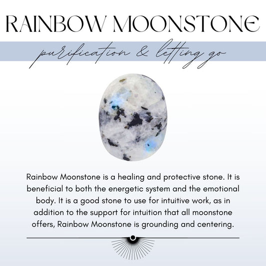 Titanium Dew Drop Earrings - Moonstone